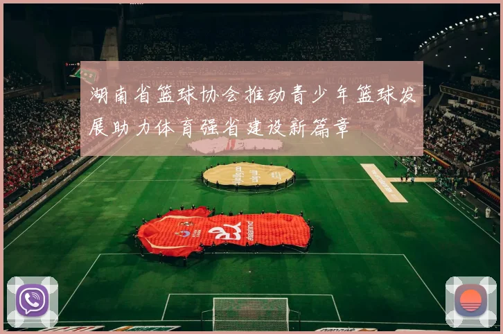 湖南省篮球协会推动青少年篮球发展助力体育强省建设新篇章