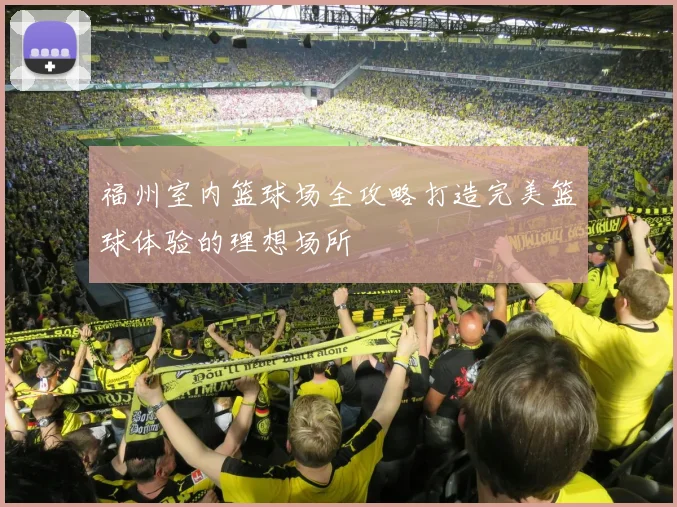 福州室内篮球场全攻略打造完美篮球体验的理想场所