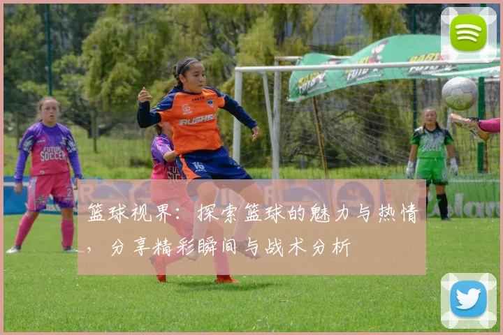 篮球视界：探索篮球的魅力与热情，分享精彩瞬间与战术分析