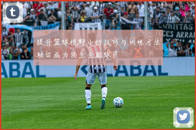 提升篮球视野小的技巧与训练方法助你成为场上全能球员