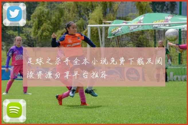 足球之杀手全本小说免费下载及阅读资源分享平台推荐