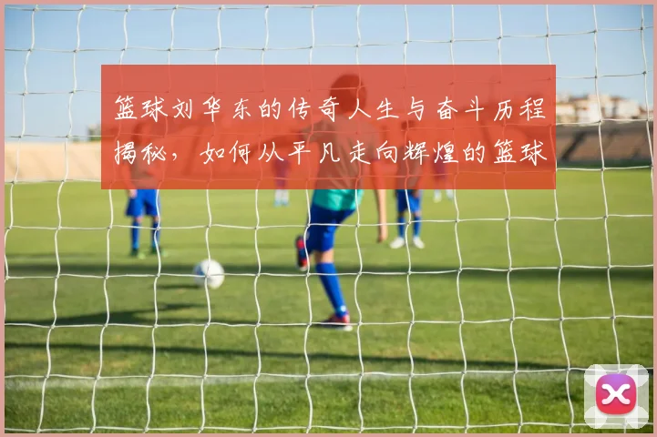 篮球刘华东的传奇人生与奋斗历程揭秘，如何从平凡走向辉煌的篮球之路